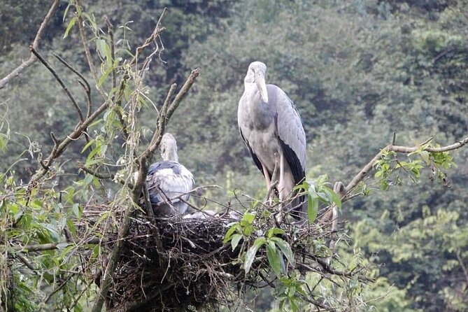 Experience Ninh Binh and Incense Village Private Tour of 3 Days - The Sum Up