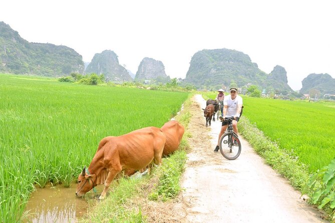 Experience Ninh Binh at UNESCO Site by Private Tour From Hanoi - Tour Inclusions