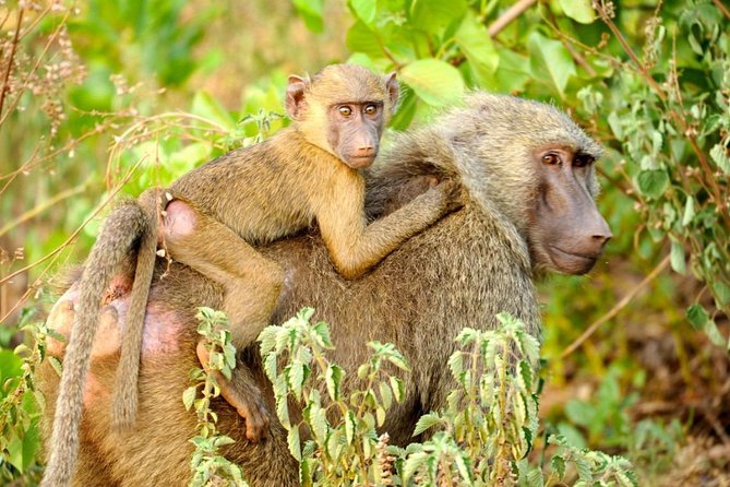 Experience Northern Ghana In 10-Days - Good To Know