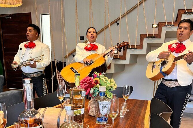 Experience of Tequila and Mezcal - A Closer Look at the Tequila and Mezcal Experience