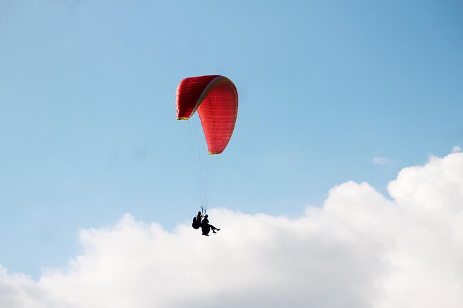 Experience Paragliding at a 1000-Meter Height in Nha Trang - Overview of Paragliding Experience