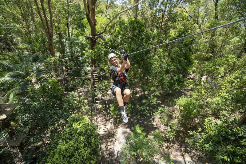 Experience Pass Currumbin Wildlife Sanctuary and Zipline - Then take on TreeTop Challenge at your own pace
