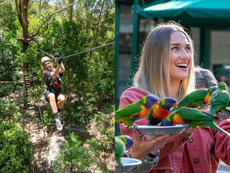 Experience Pass Currumbin Wildlife Sanctuary and Zipline - What the price includes, and where the value lies