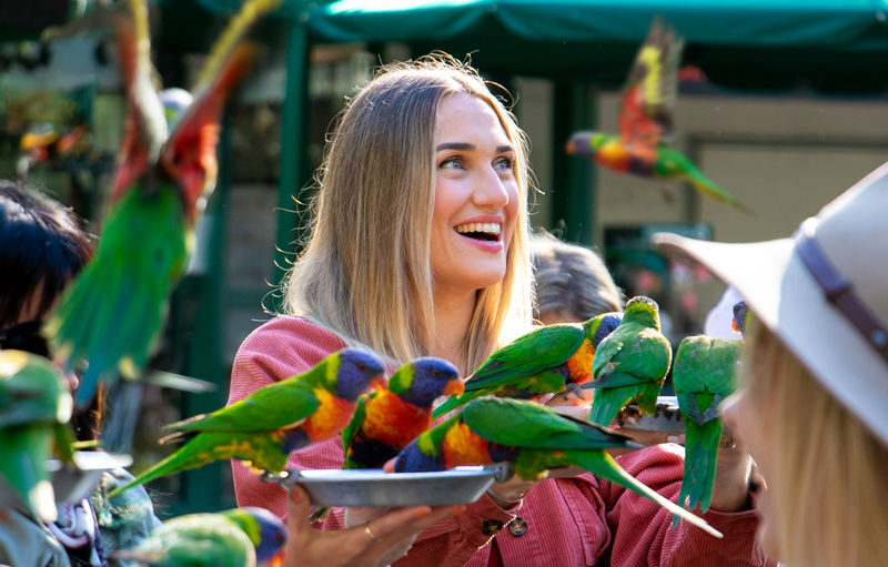 Experience Pass Currumbin Wildlife Sanctuary and Zipline - Getting to Currumbin and planning the day