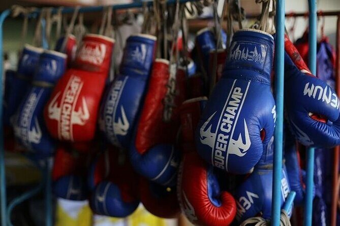 Experience Patong Boxing Stadium Tickets - What the Reviews Say