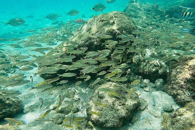 Experience Peanut Island Adventures - Meeting Point Details