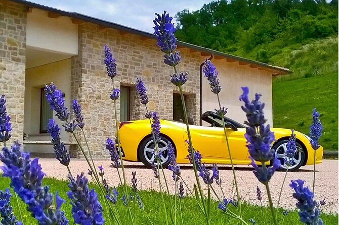 Experience PLUS Program - Museo Ferrari