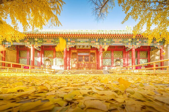Experience Prince Kung's Mansion in Beijing - In-Depth Review of Prince Kungs Mansion Experience
