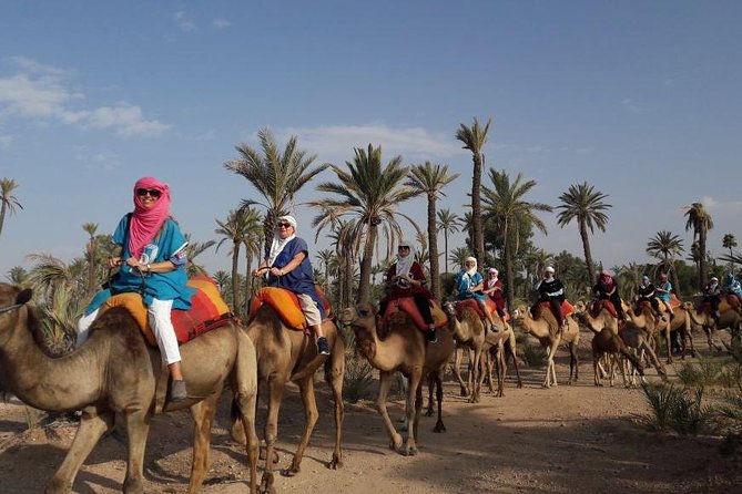 Experience Private Camel Ride - Pickup Details