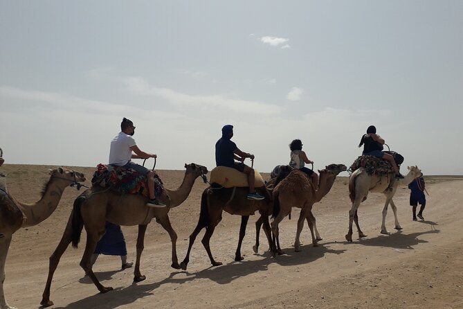 Experience Private Camel Ride - Additional Info