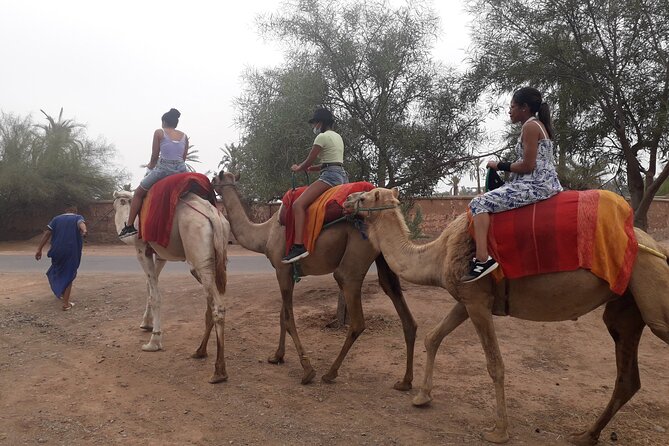 Experience Private Camel Ride - Customer Reviews