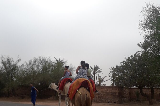 Experience Private Camel Ride - Location Directions