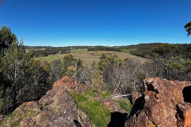 Experience SA Clare Valley Private Wine Tour - Introduction