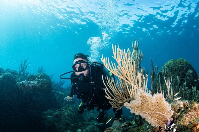 Experience Scuba - Experience Scuba: An Authentic Underwater Adventure in Puerto Rico