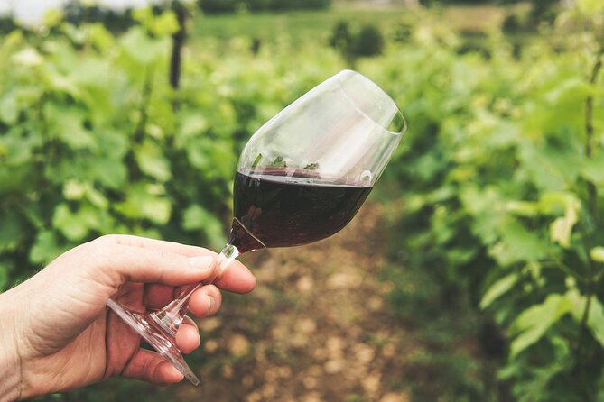 Experience Slovenian Coast Line With Wine Tasting From Trieste - Wine Tasting Experience