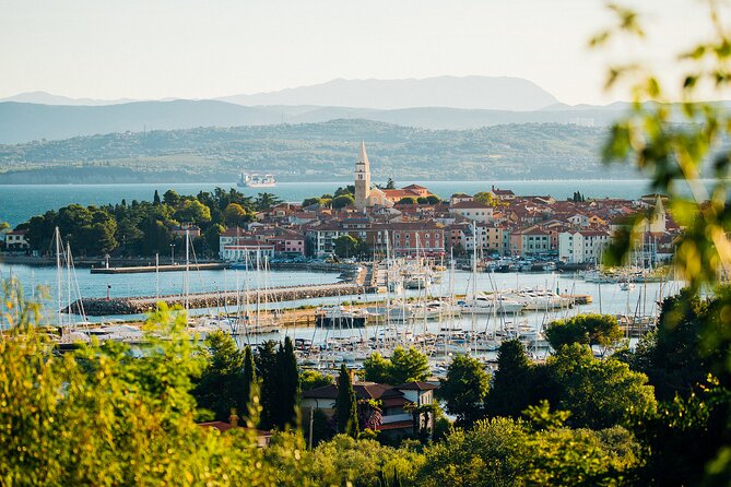 Experience Slovenian Coast Line With Wine Tasting From Trieste - Frequently Asked Questions