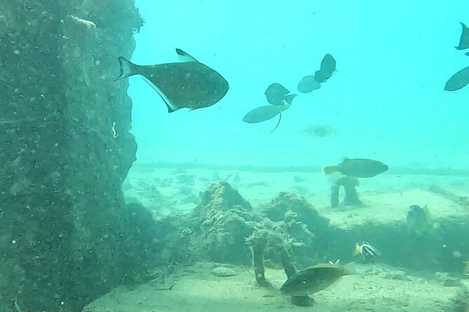 Experience Snorkeling in Sanur - Optional Add-Ons