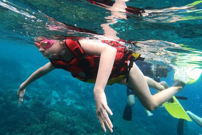 Experience Snorkeling in Sanur - Meeting Point