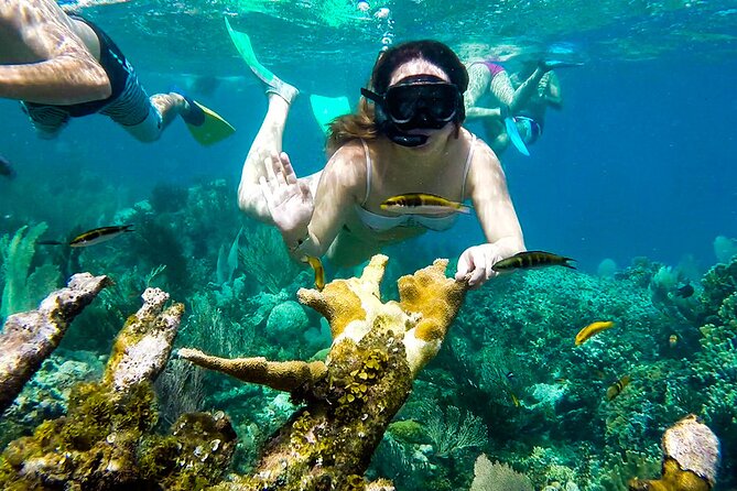 Experience Snorkeling Safari in Marsa Alam - Good To Know