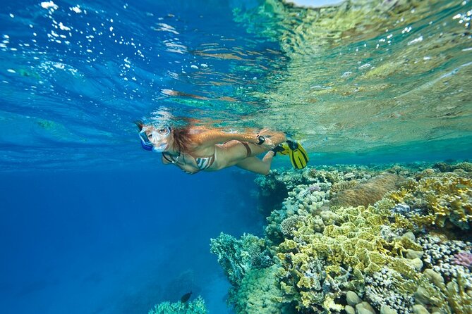 Experience Snorkeling Safari in Marsa Alam - Start Time and Additional Information