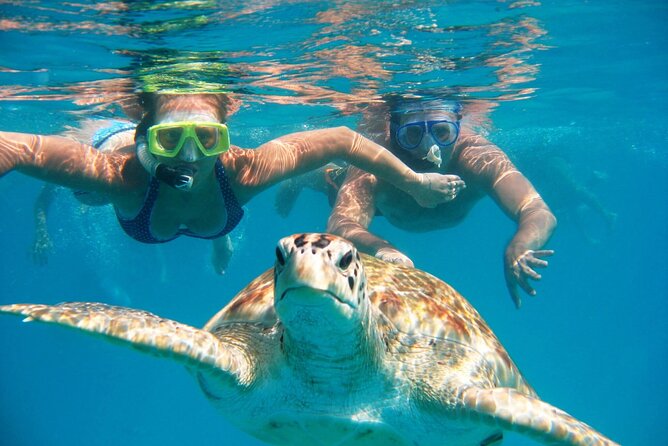 Experience Snorkeling Safari in Marsa Alam - Confirmation and Accessibility