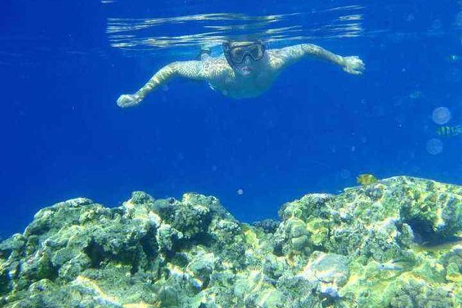Experience Snorkeling Tour at Utopia Island - Pickup Information