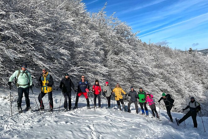 Experience Snowshoeing in Olympic Mountain Bjelašnica - Tour Details