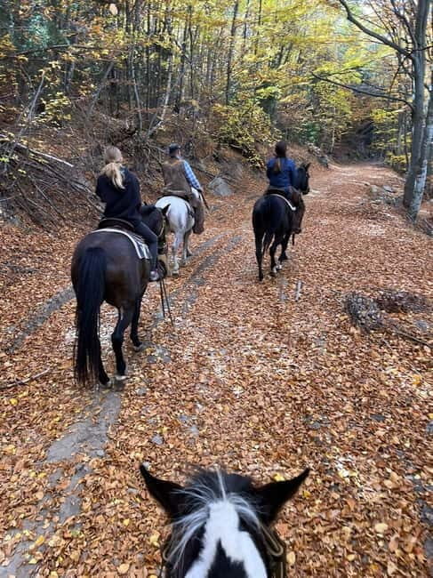 Experience Sofia - nature, history, horse riding and SPA - Final Thoughts