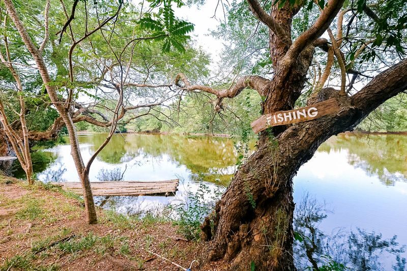 Experience South Iloilo: Eco-Cultural Pilgrimage Tour & Weaving - Practical details to check before booking