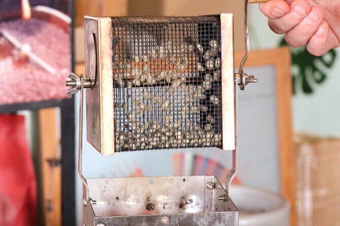 Experience Specialty Coffee with Sustainable Coffee Farmers - Exploring the Itinerary in Detail