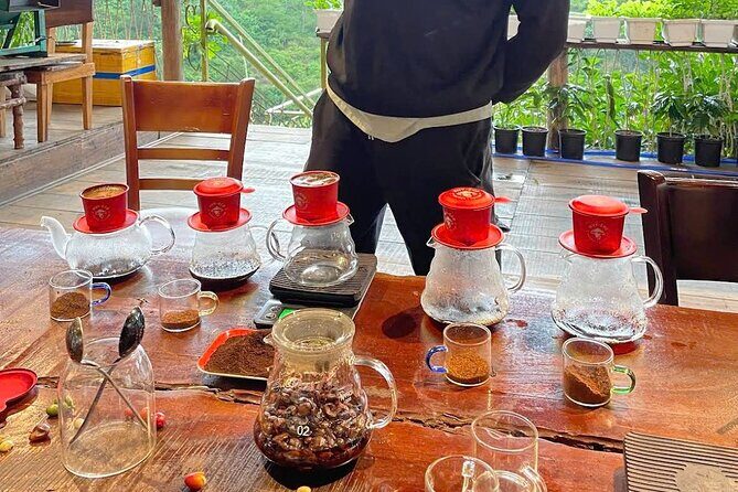 Experience Specialty Coffee with Sustainable Coffee Farmers - The Sum Up