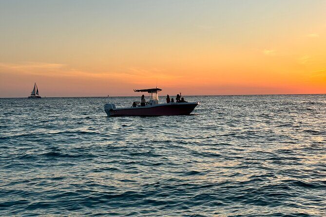 Experience Sunset and Dolphin Adventure in Panama - Good To Know