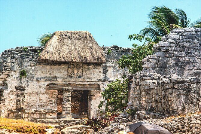 EXPERIENCE SWIMMING with the TURTLES and Discover the amazing Tulum Ruins tours. - Practical Tips for Booking and Enjoying This Tour