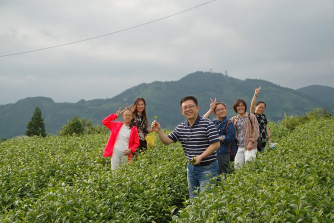 Experience Tea Picking With a Tea Farmer, and Tempura Lunch With Picked Tea Leaves - Meeting and Pickup Information