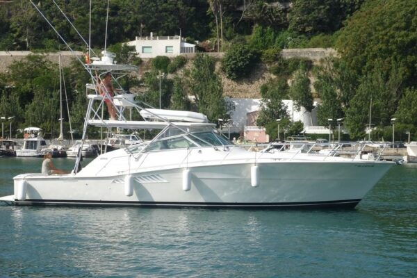 Experience the AMERICANS CUP From a Boat - Sailing Adventure