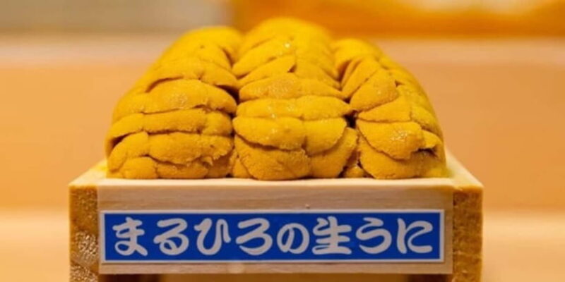 Experience the Art of Edo-Style Sushi: Sushi Dragon Shibuya - Practical Tips for Visiting Sushi Dragon Shibuya