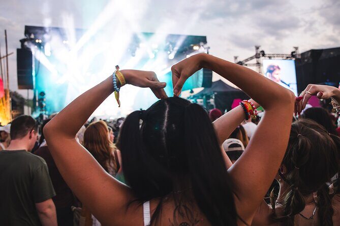 Experience the BASSINTHEGRASS Music Festival at Mindil Beach - The Experience in Detail