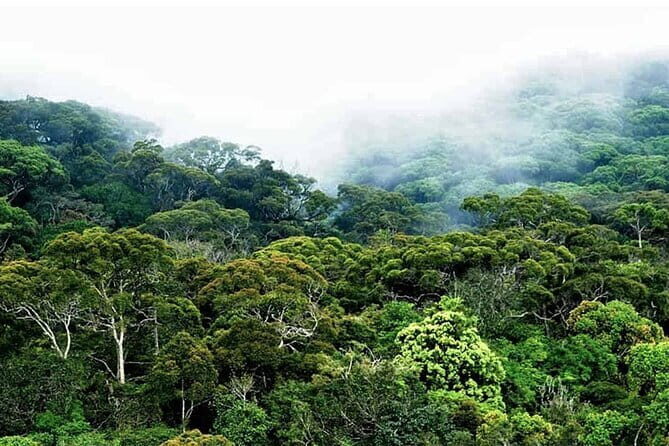 Experience the Beauty and History of Sri Lanka - FAQ  