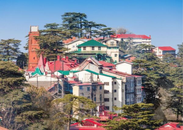 Experience the Best of Shimla With a Local - Full Day Tour - Recommendations
