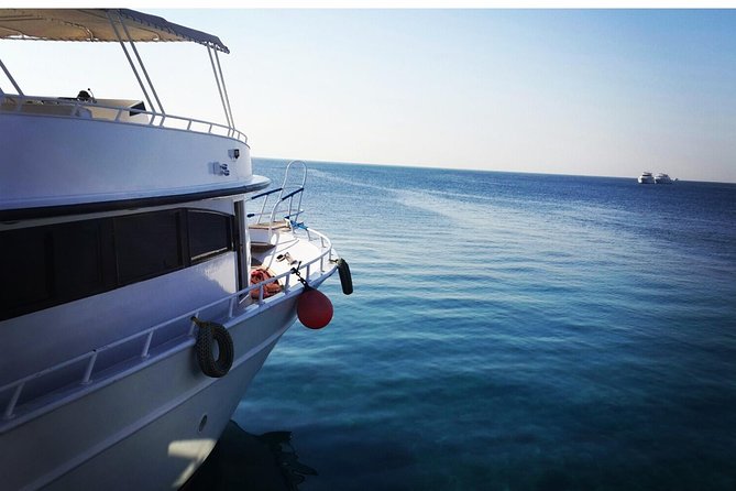 Experience the Dolphin House With Breakfast - Experience Requirements