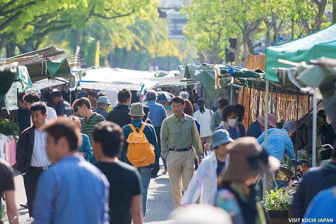 Experience the Energy of Kochi: Sunday Market Tour Includes Kochi Castle - Sunday Market Tour Overview