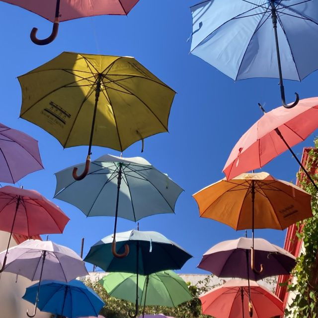 Experience The Essence of Buenos Aires in San Telmo - Good To Know