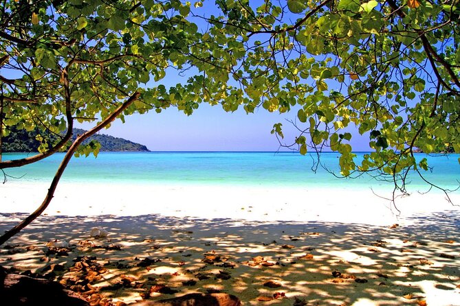 Experience the Koh Lipe Backyard Including 5 Mysterious Islands - Snorkeling and Diving in Koh Lipes Waters