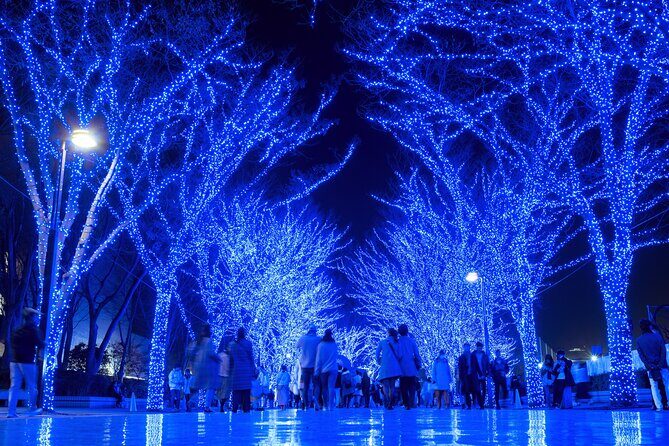 Experience the Magic of Christmas in Tokyo - Final Thoughts