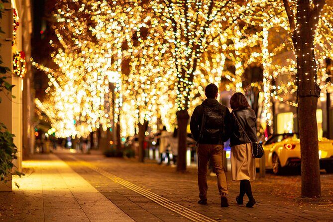 Experience the Magic of Christmas in Tokyo - FAQ