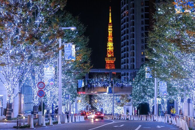 Experience the Magic of Christmas in Tokyo - A Closer Look at the Itinerary