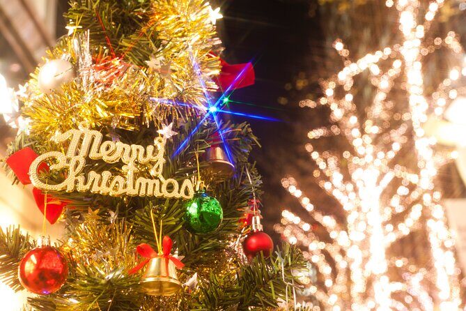 Experience the Magic of Christmas in Tokyo - Practical Details: Transportation, Group Size, and Booking