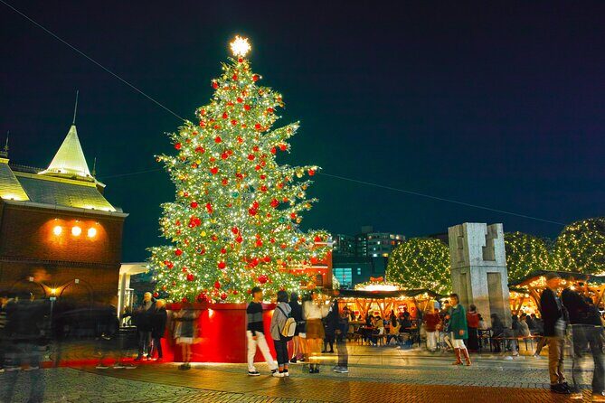 Experience the Magic of Christmas in Tokyo - Who Will Love This Tour?
