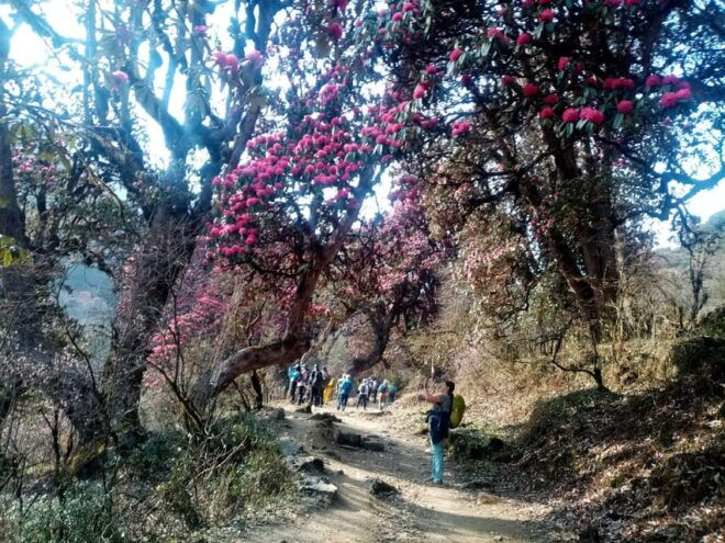 Experience the Magic of Poon Hill: a 4-Day Trek From Pokhara - Essential Gear and Packing Tips