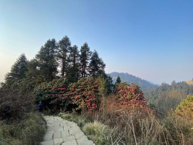 Experience the Magic of Poon Hill: a 4-Day Trek From Pokhara - What to Bring